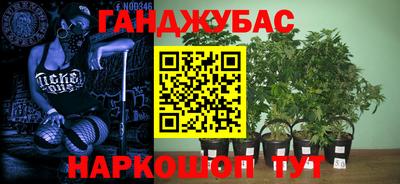 прущие крисы Бузулук